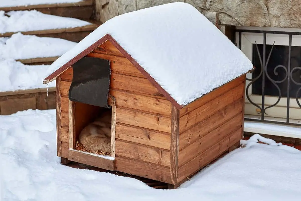 Best Dog Houses for Winter - pawscessories.com
