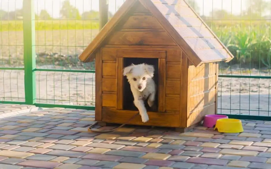 Best Outdoor Dog Houses - pawscessories.com