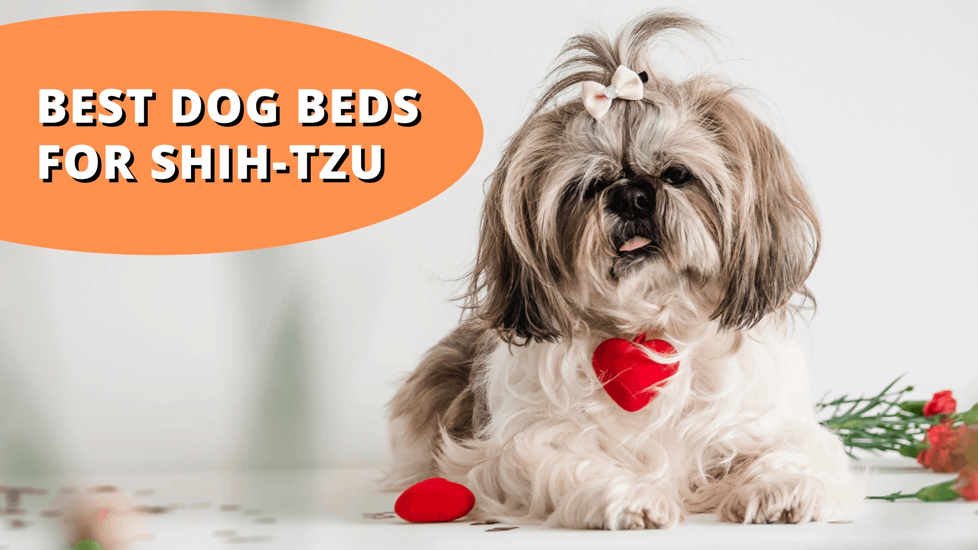best dog beds for shih tzu