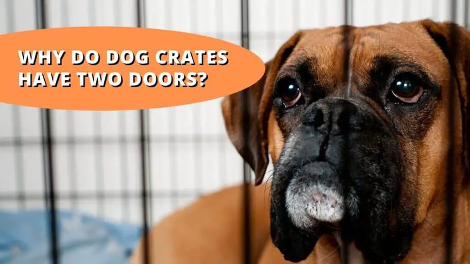 why do dog crates have 2 doors