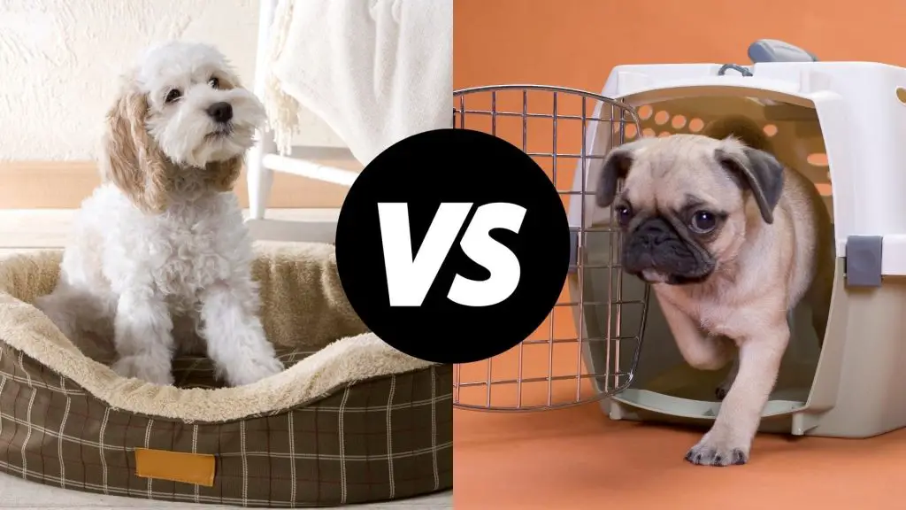 dog crate vs dog bed