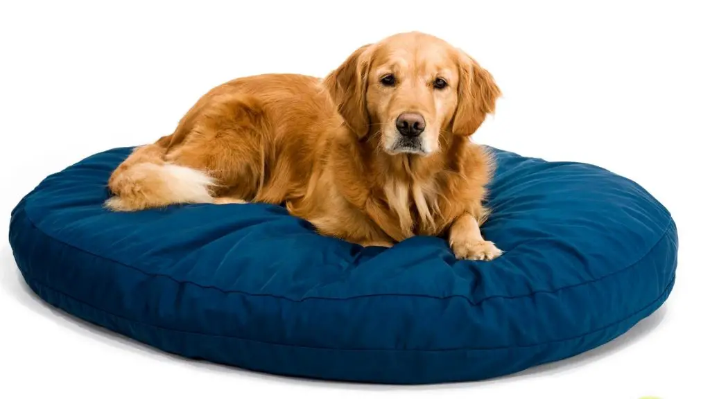 why are dog beds so expensive