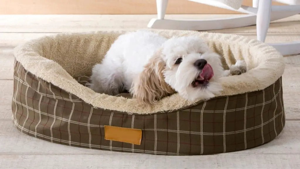 why are dog beds so expensive