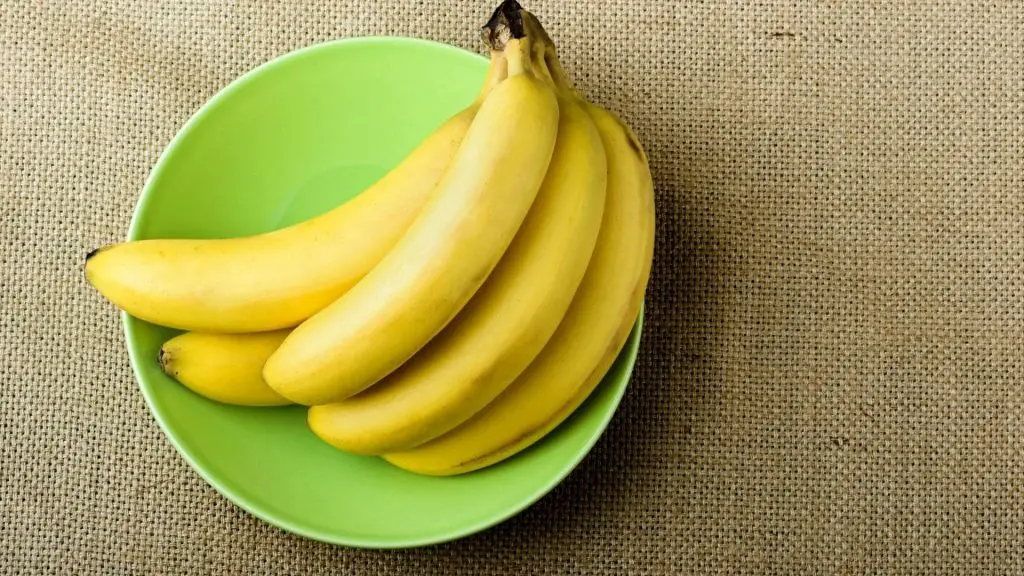 can dachshunds eat bananas