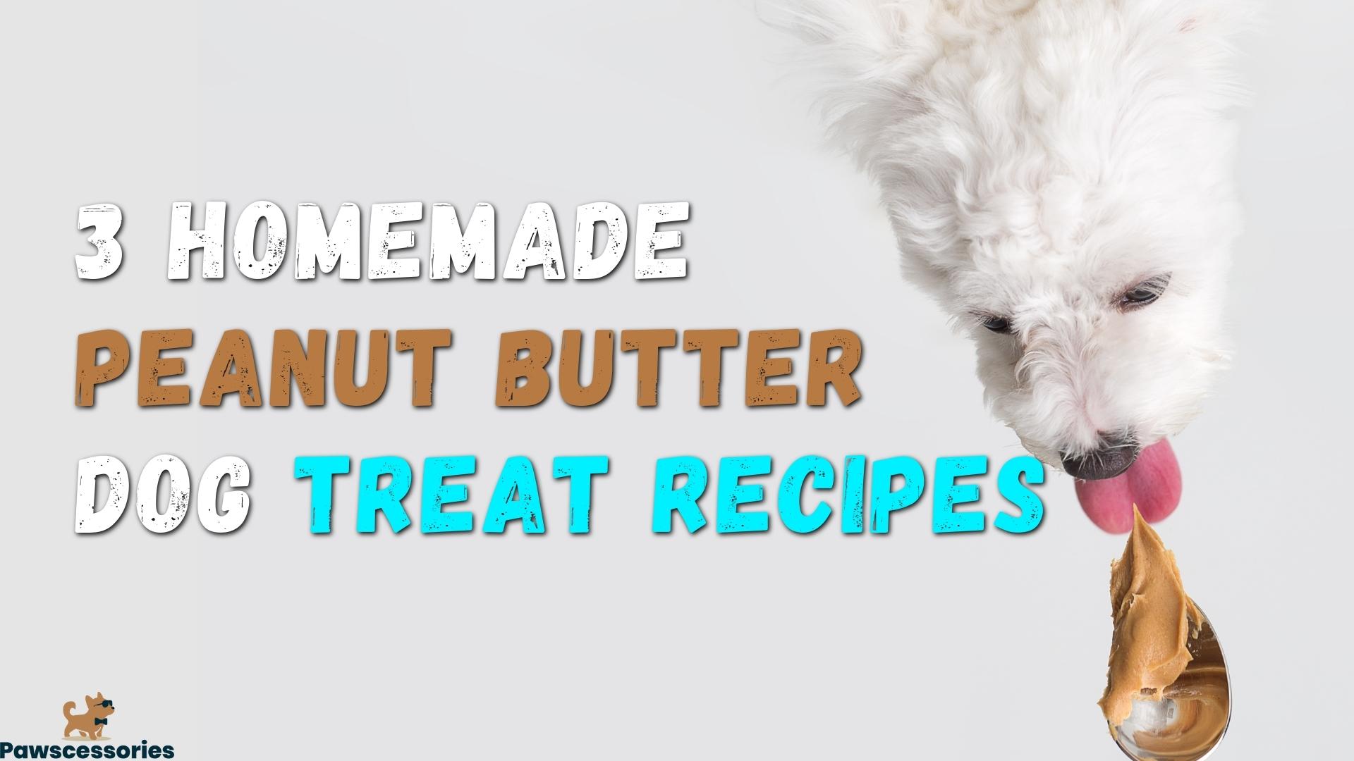 DIY Homemade Peanut Butter Dog Treat Recipes