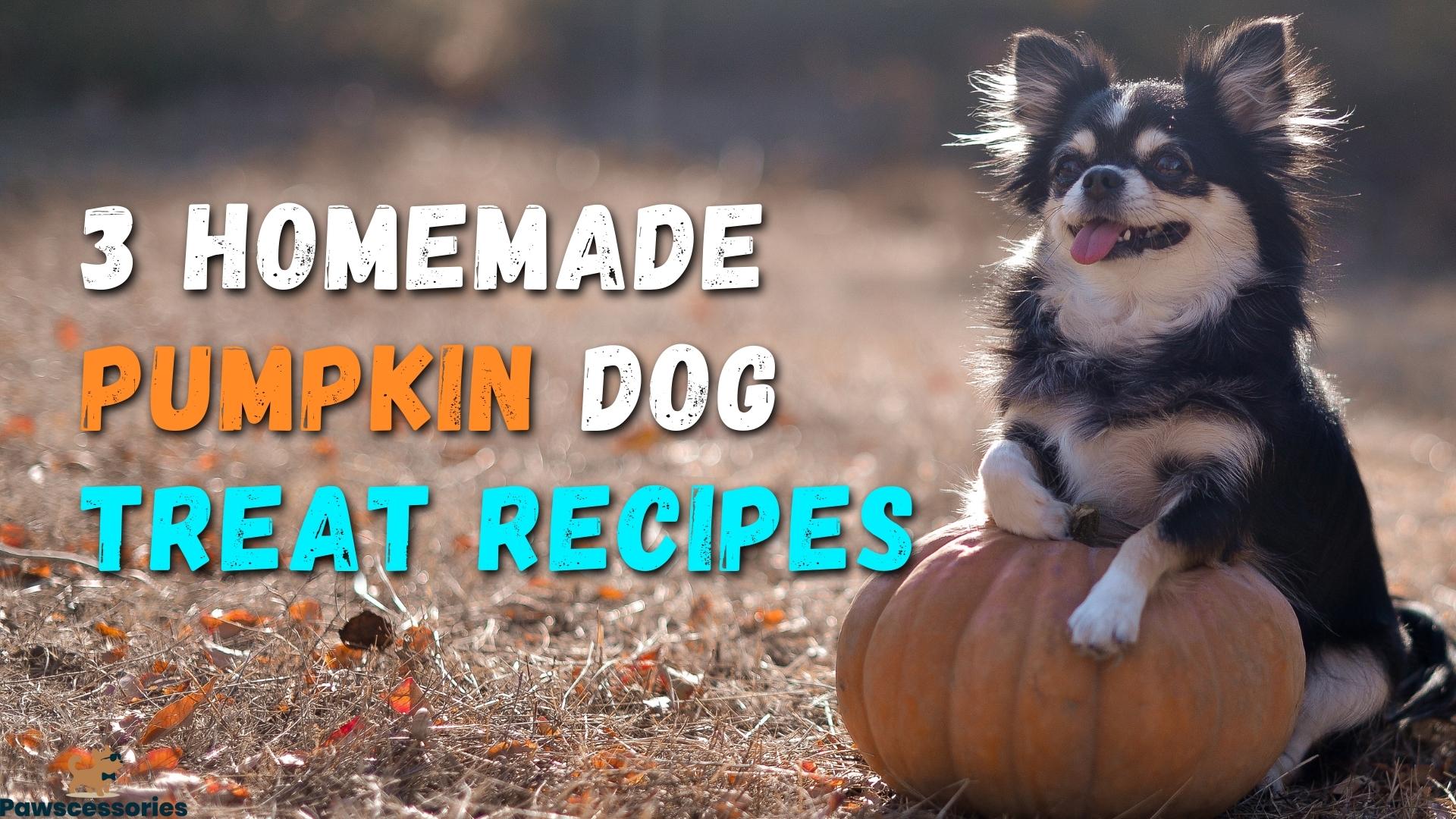 Homemade pumpkin dog treats