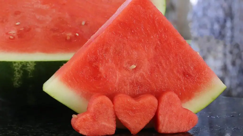 can dachshund eat watermelon