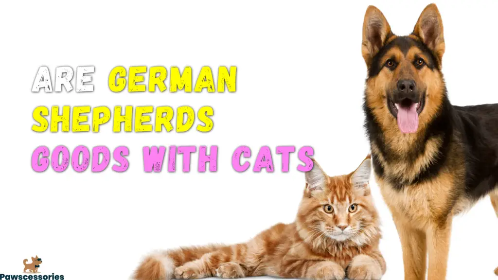 are german shepherds goods with cats