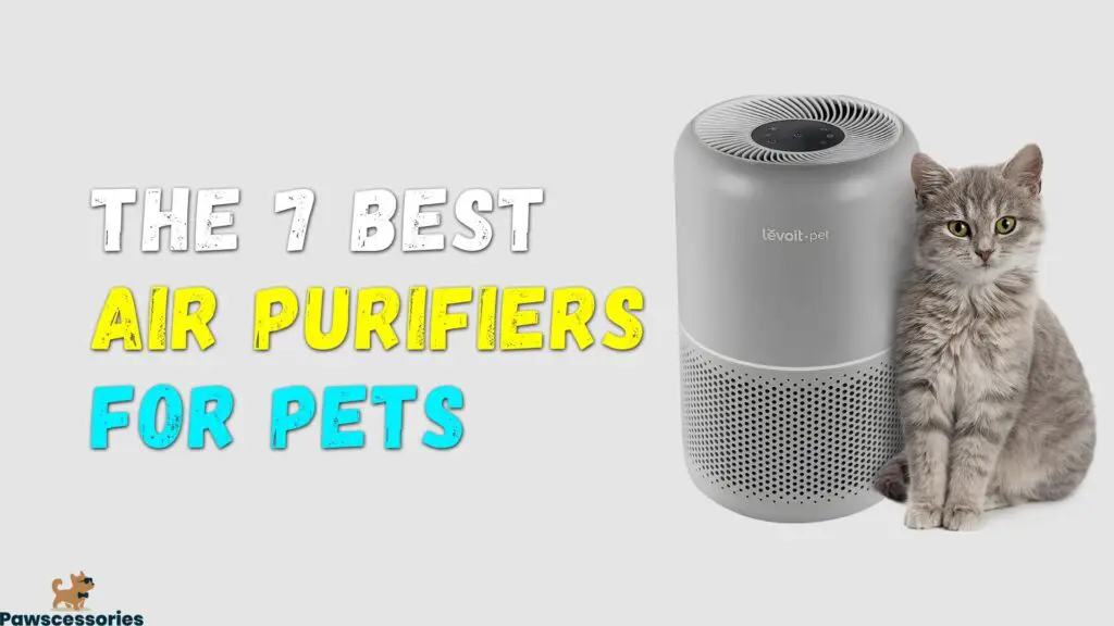 Air Purifiers For Pets