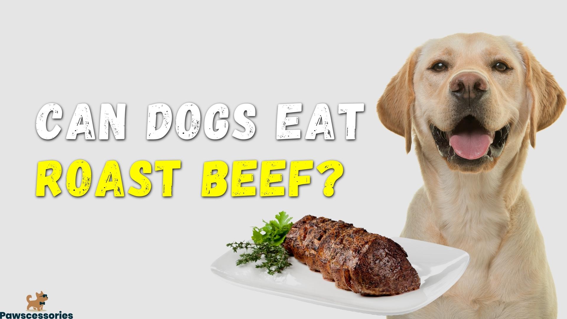 Can Dogs Eat Roast Beef