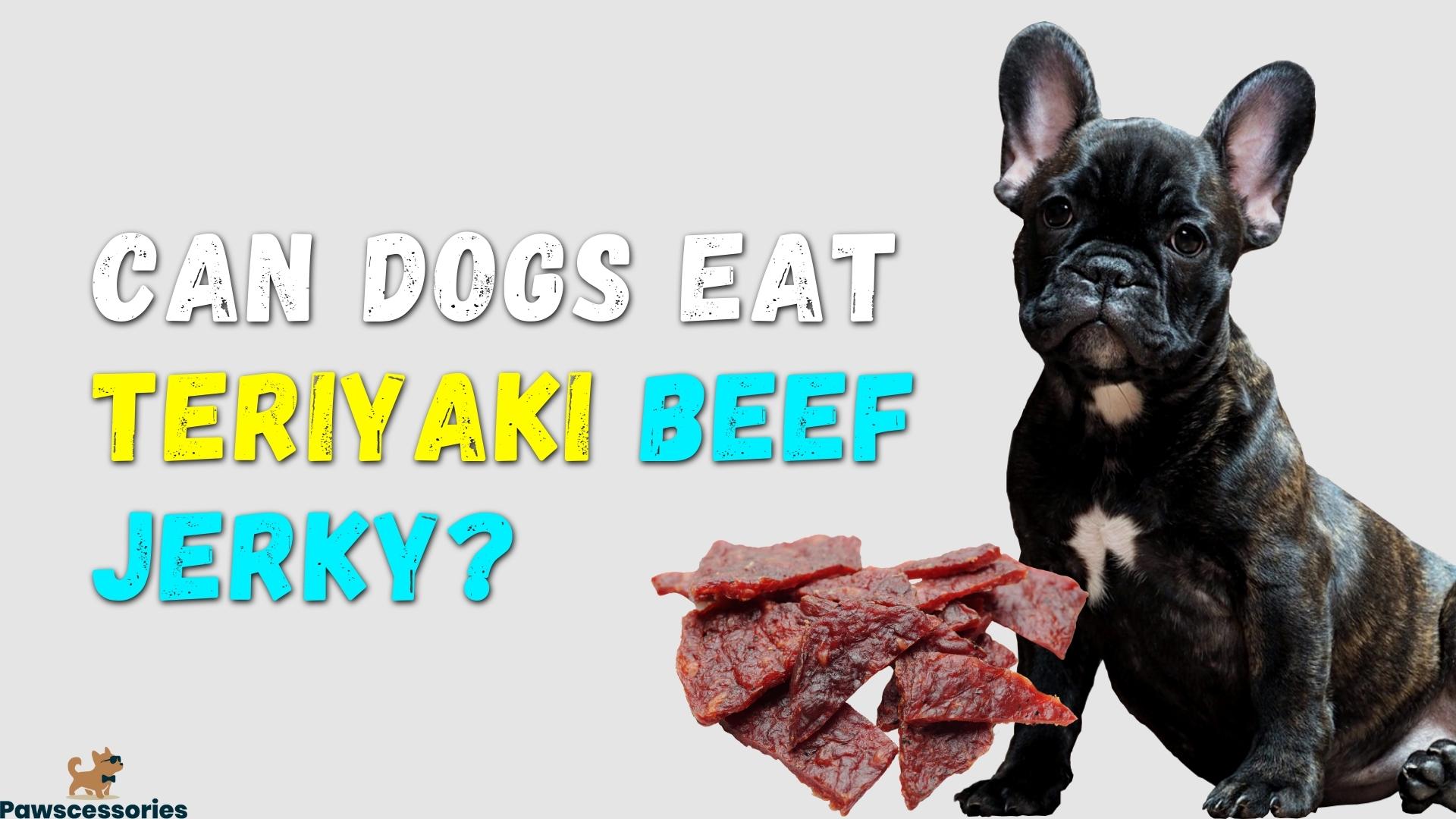Can Dogs Eat Teriyaki Beef Jerky_