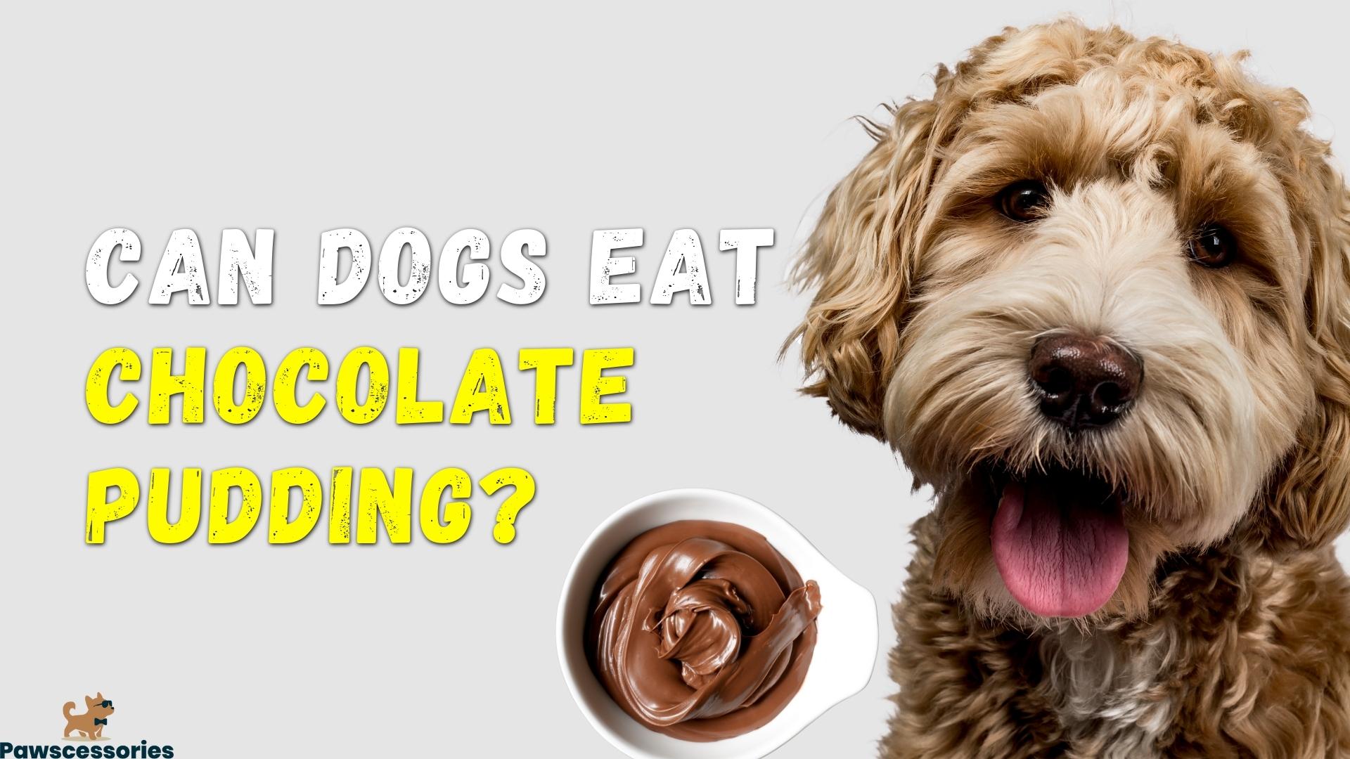 Can Dogs Eat chocolate Pudding_