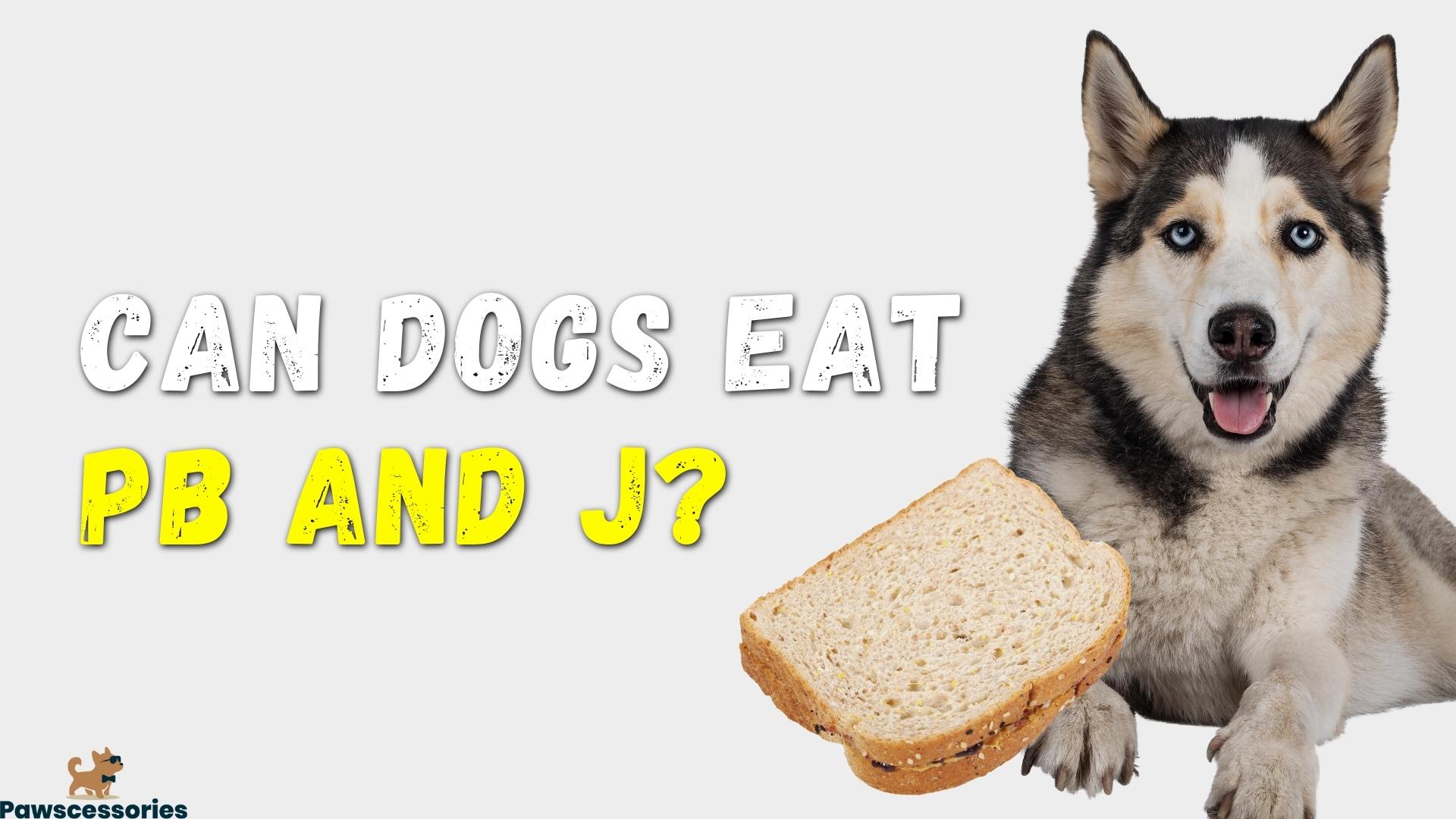 Can dogs eat PB and J