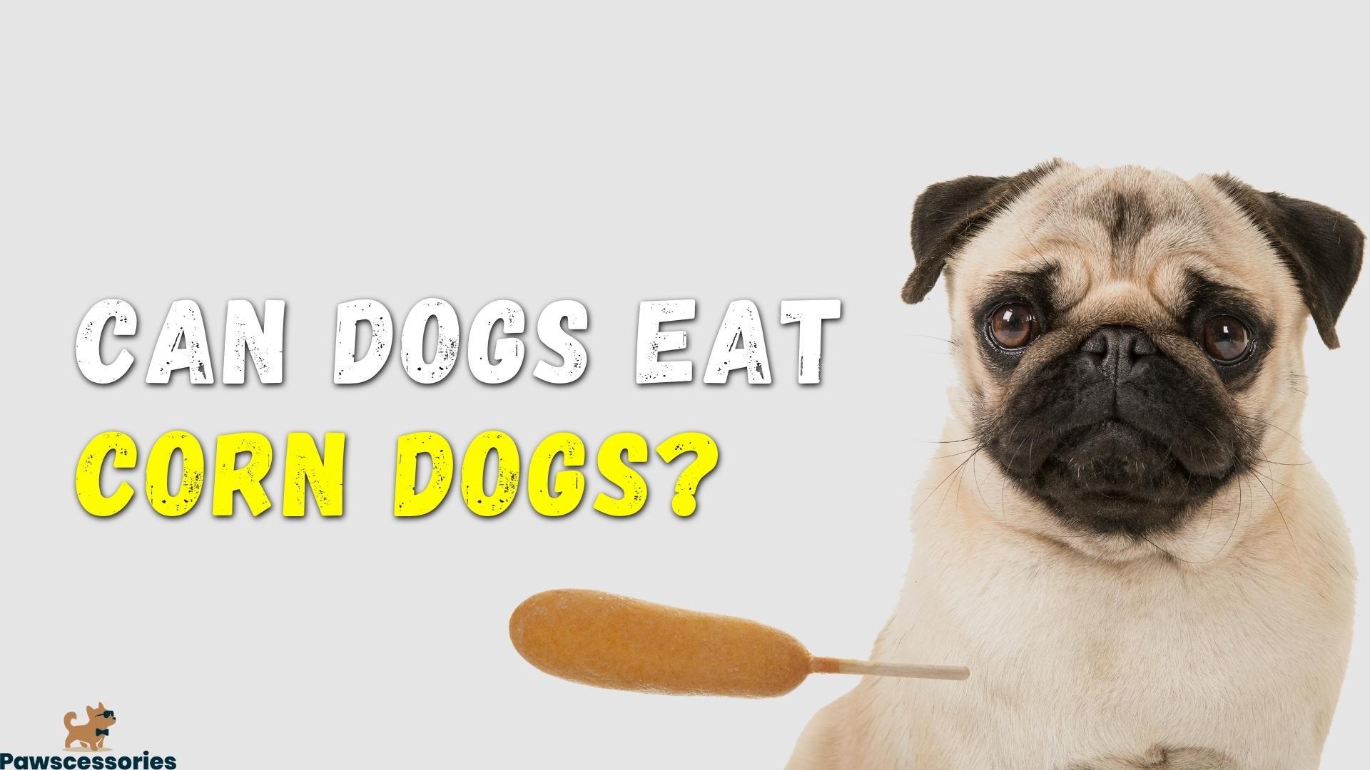 Can dogs eat corn dogs
