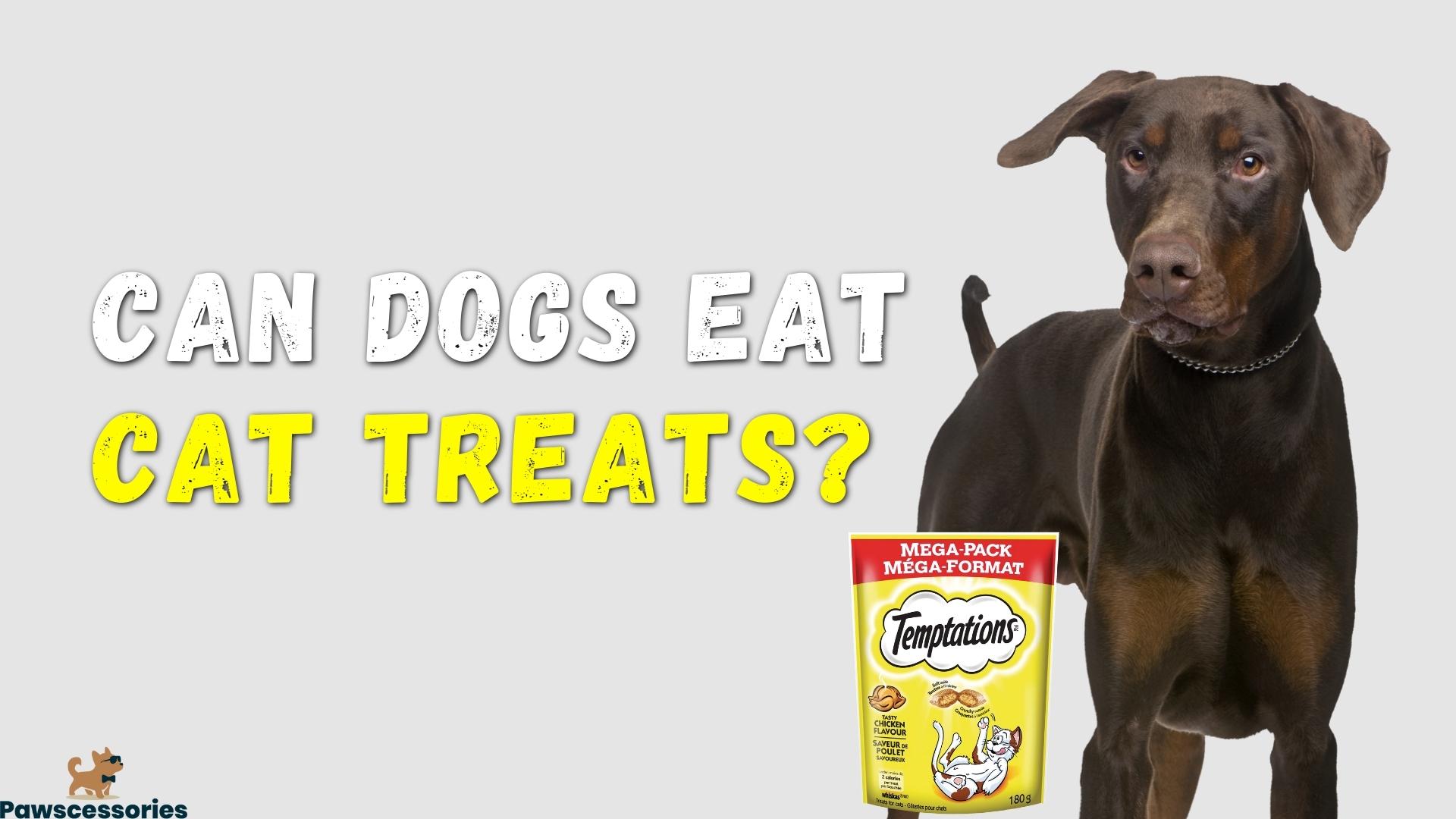 Can dogs eat cat treats