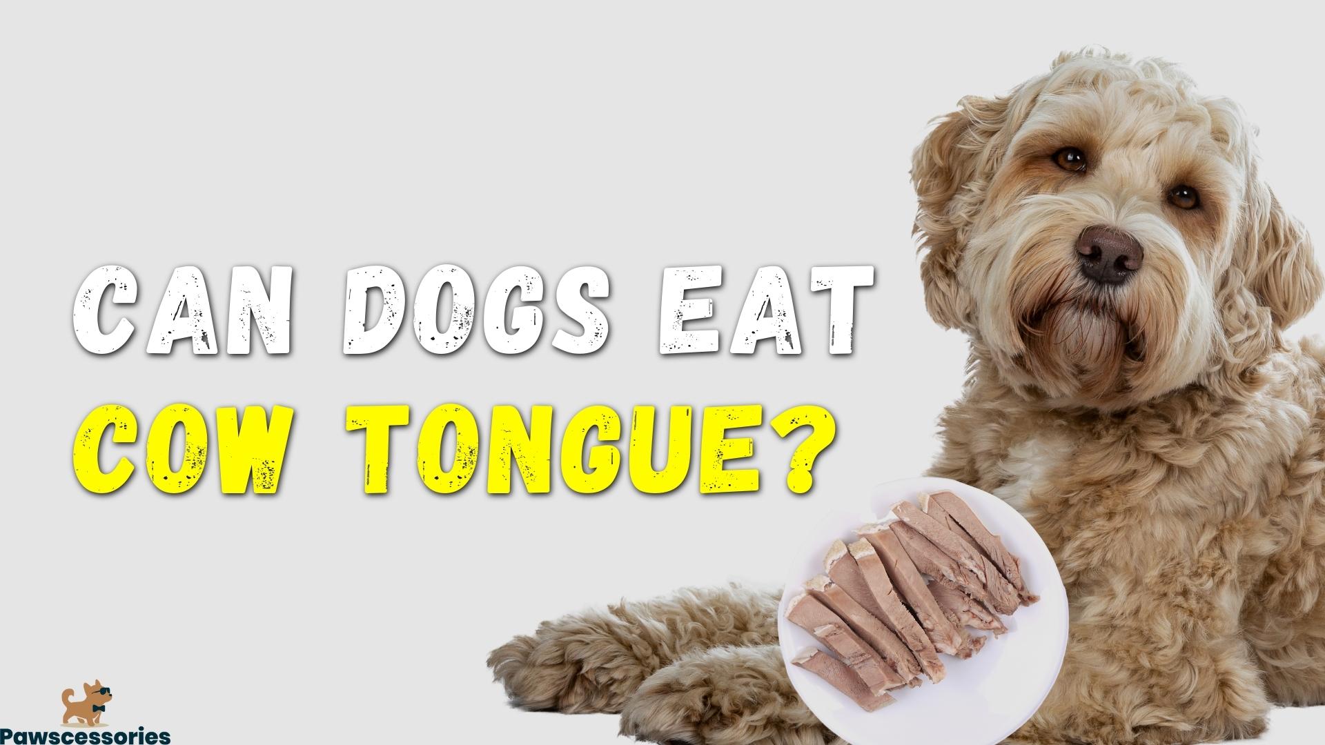 Can dogs eat cow tongue