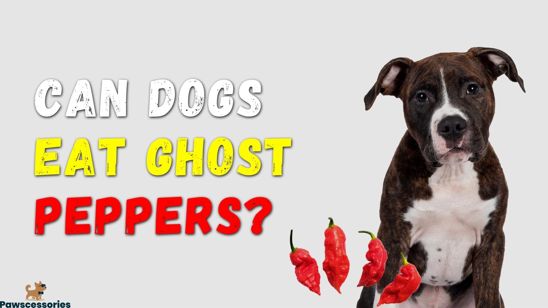 Can dogs eat ghost peppers