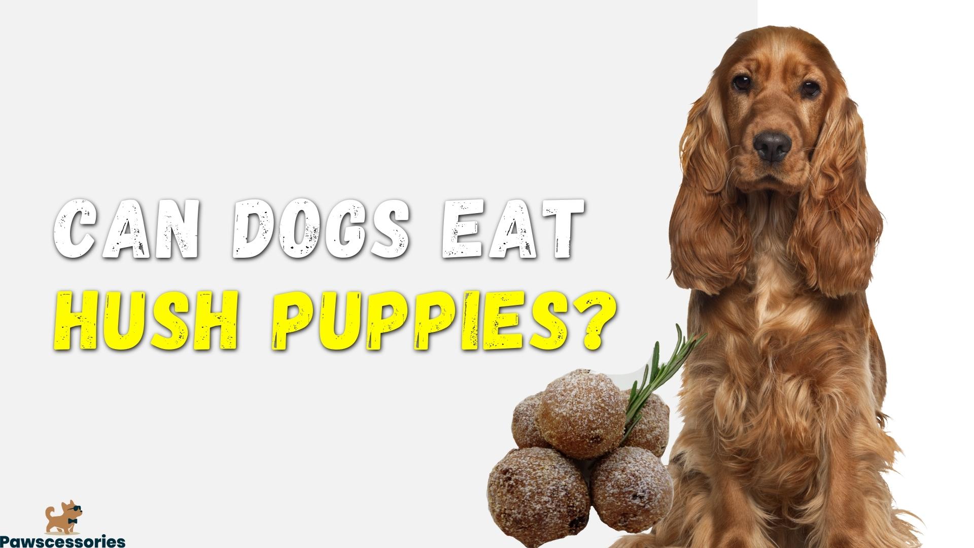 Can dogs eat hush puppies