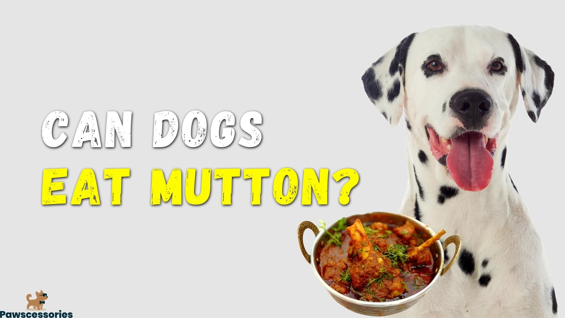 Can dogs eat mutton