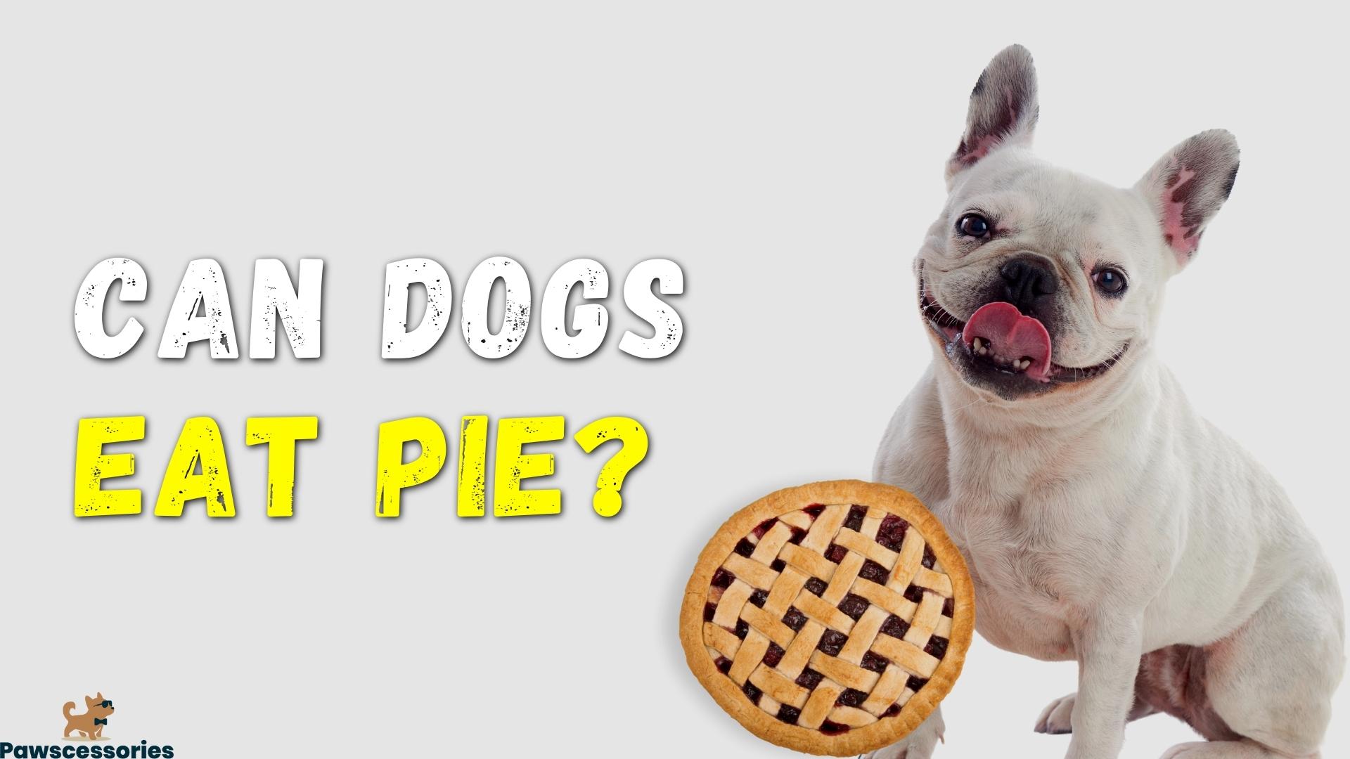 Can dogs eat pie