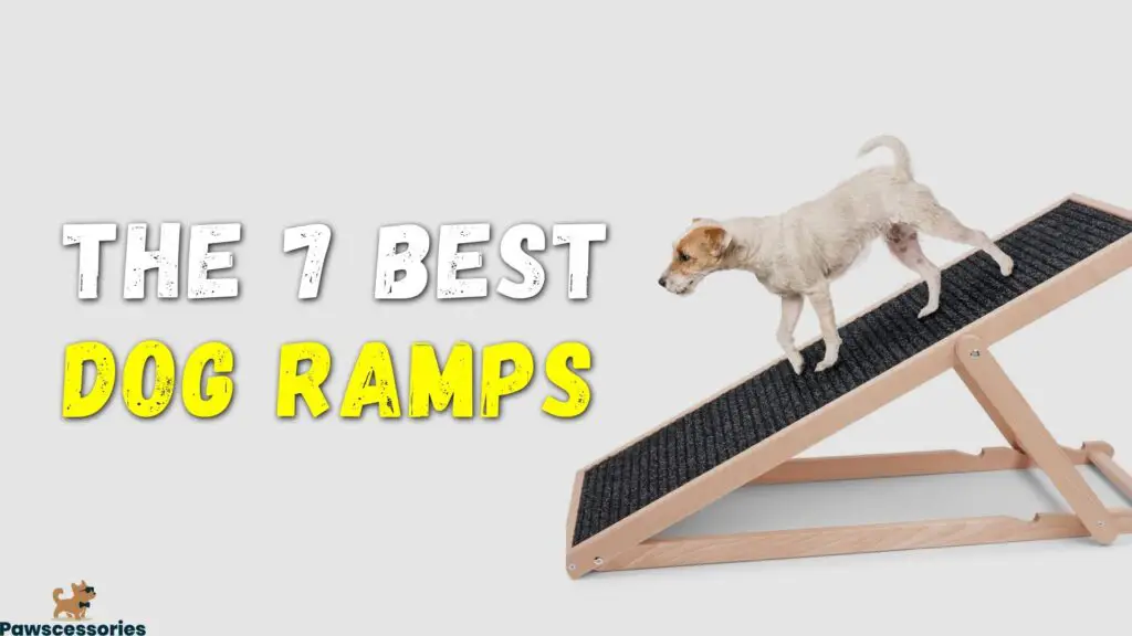 dog ramps