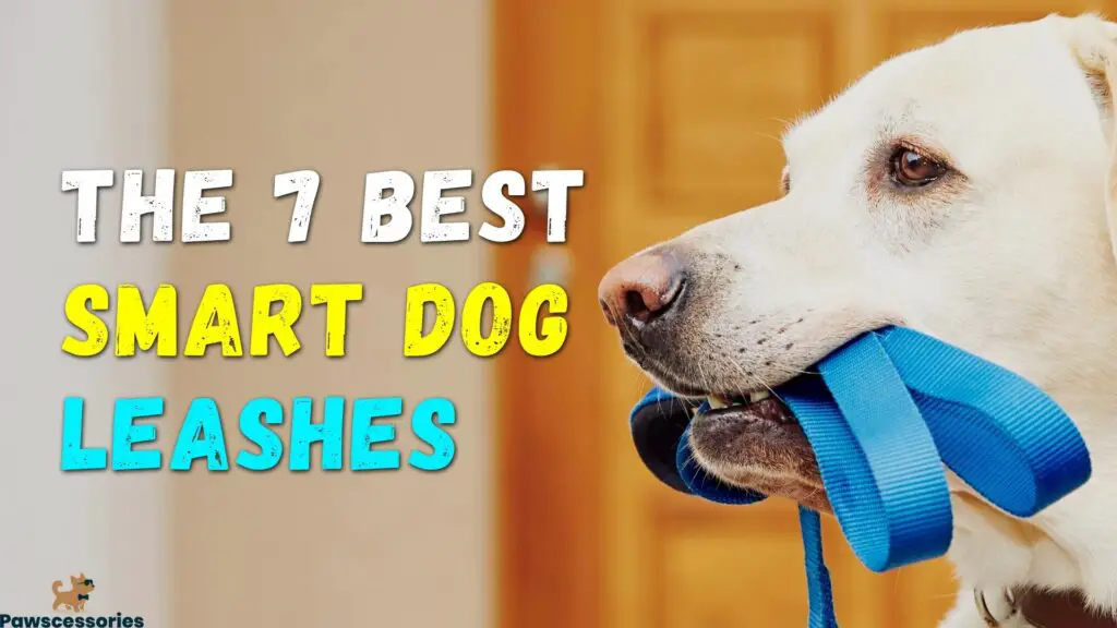 smart dog leashes