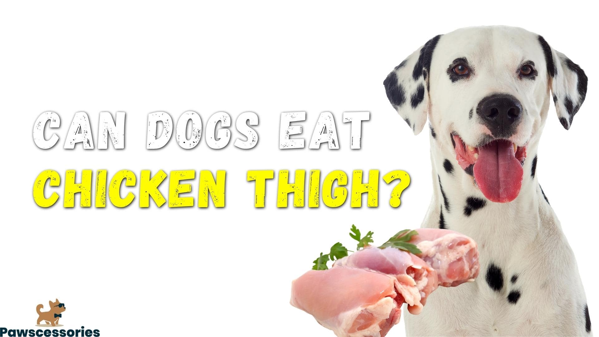 Can Dogs Eat Chicken Thighs