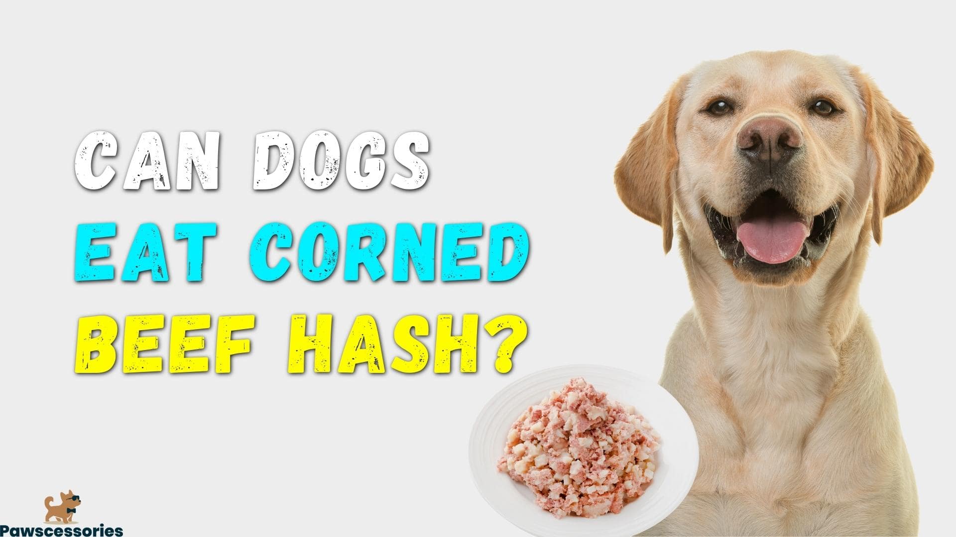 Can Dogs Eat Corned Beef Hash
