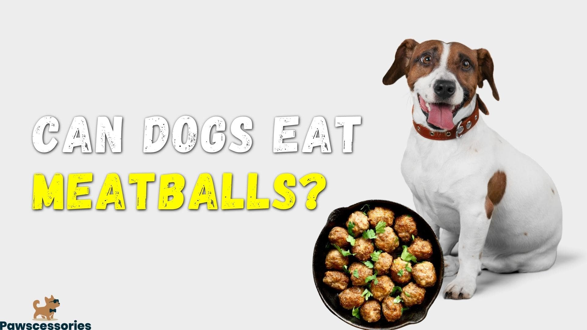 Can Dogs Eat meatballs