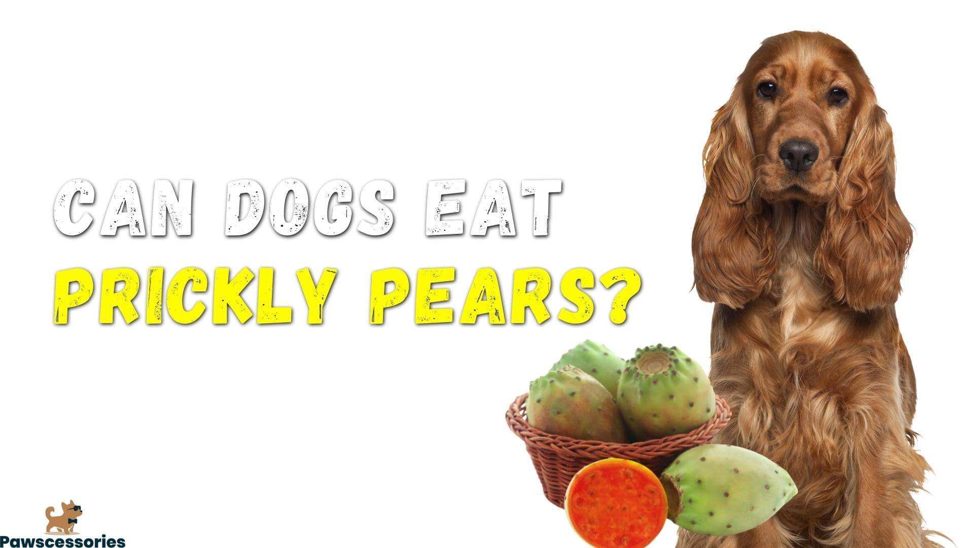 Can dogs eat prickly pears