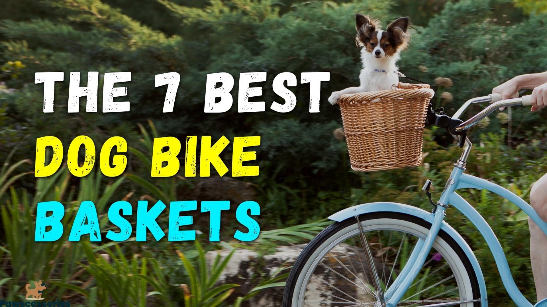 best dog basket for bike