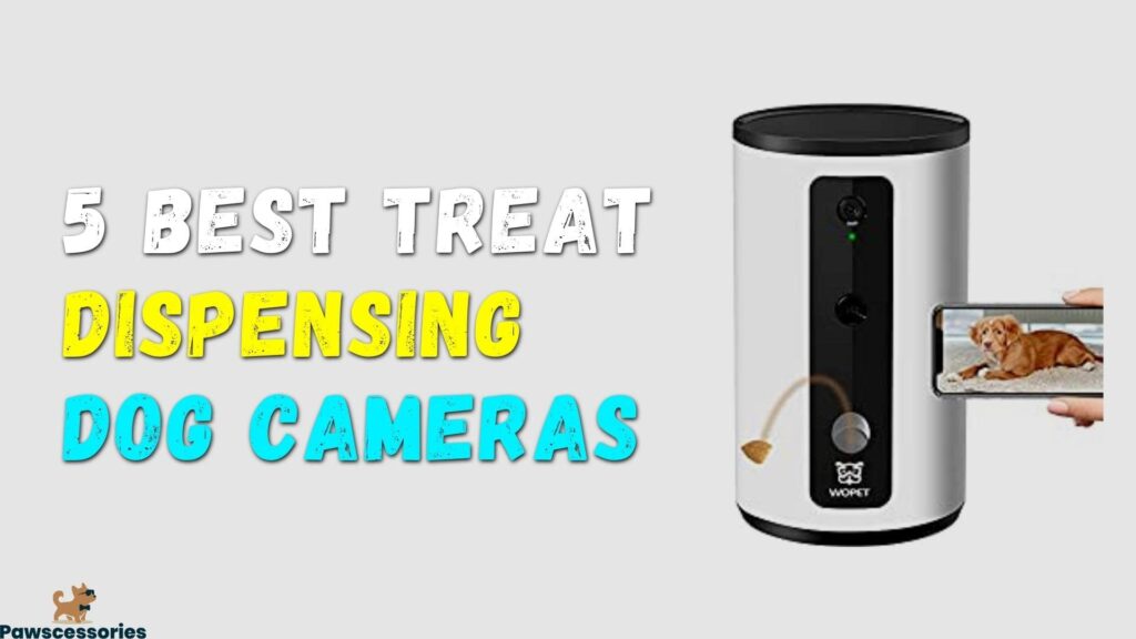 best treat-dispensing dog camera
