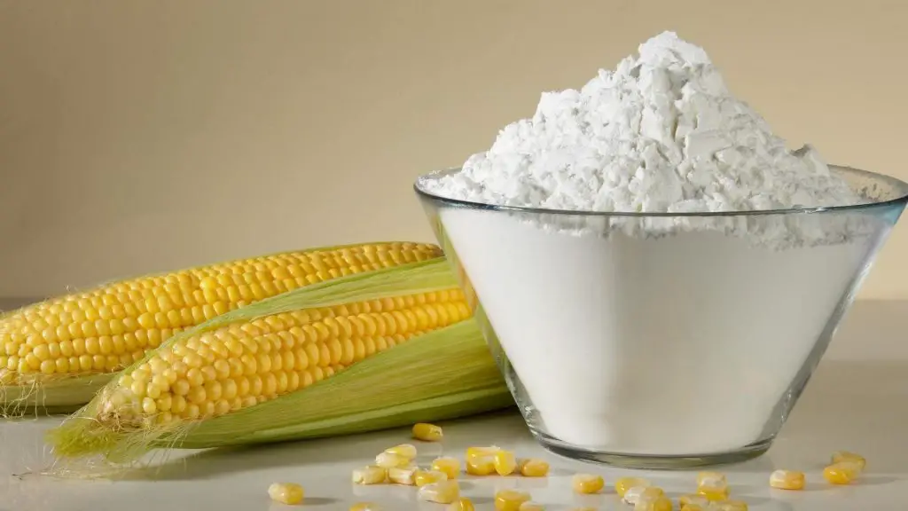can dogs eat corn starch
