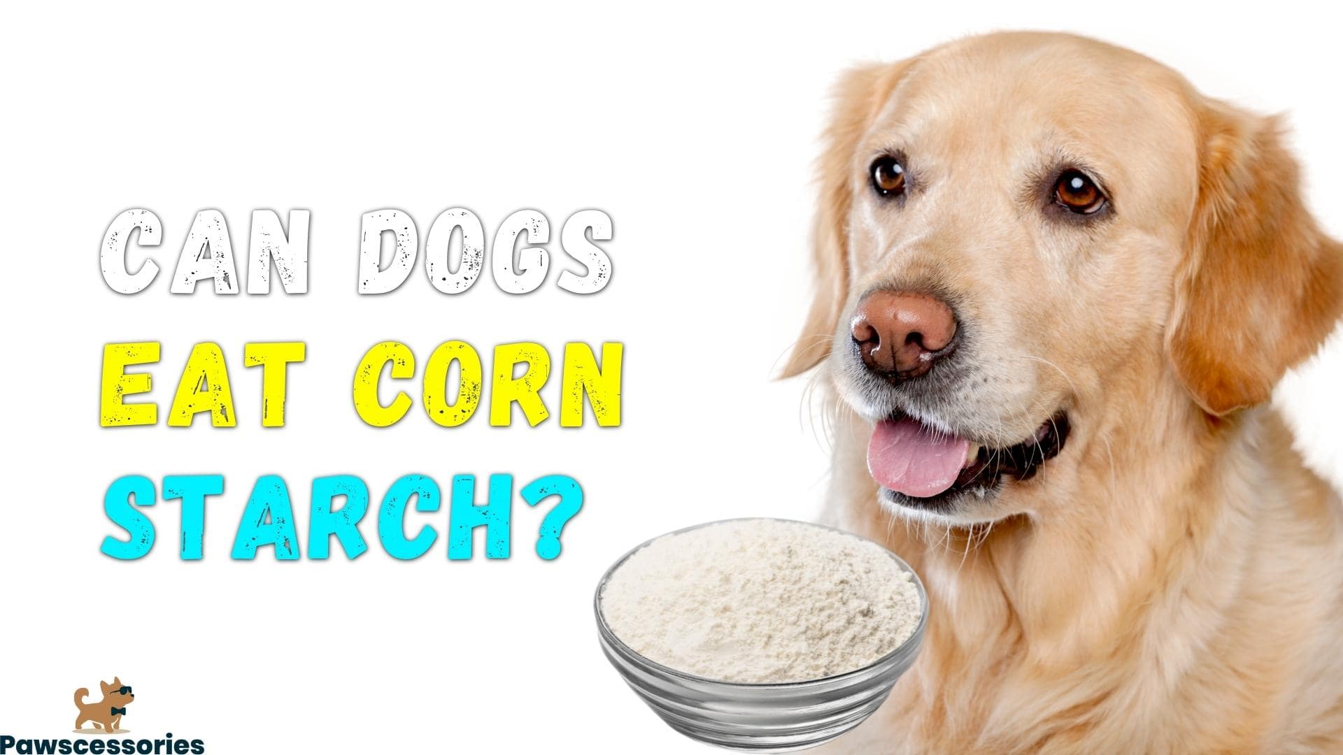 can dogs eat corn starch