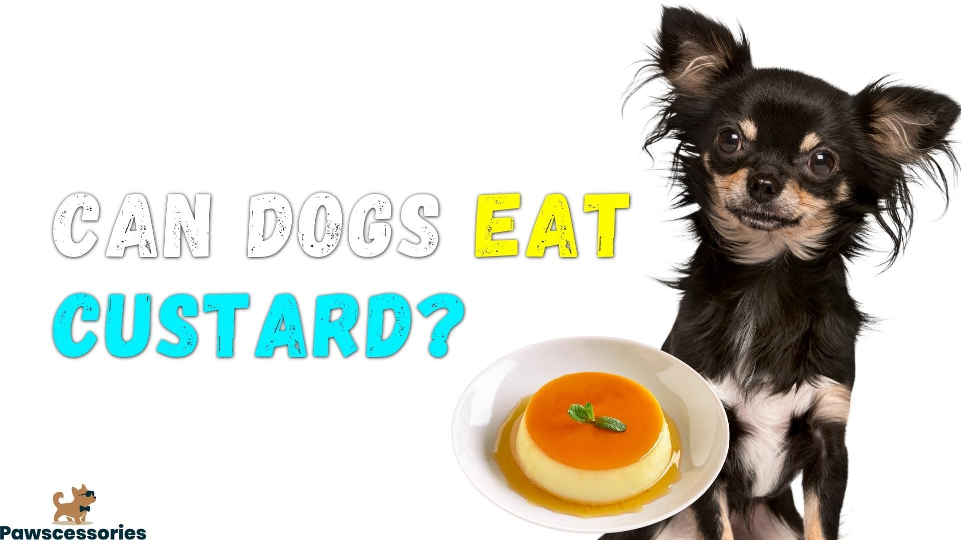 can dogs eat custard