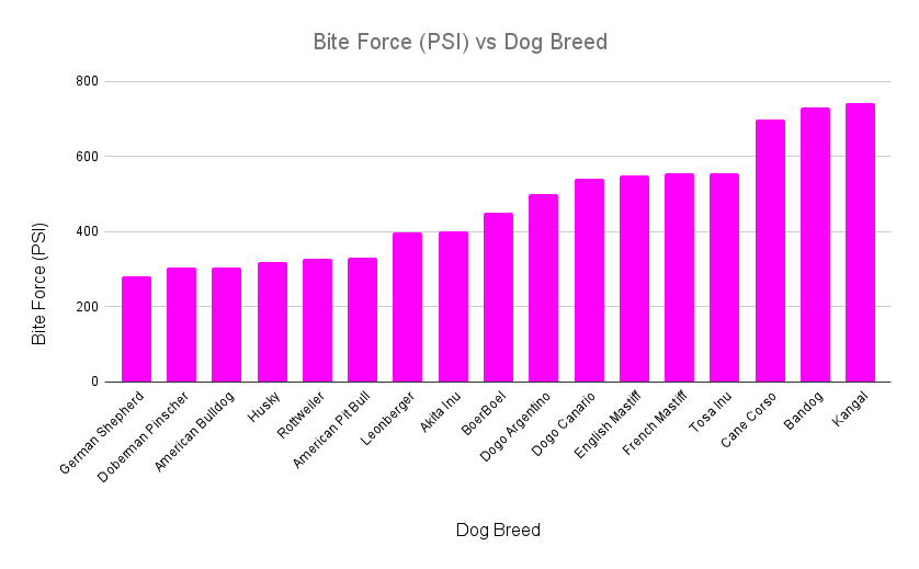 Boerboel Bite Force (PSI) vs Dog Breed
