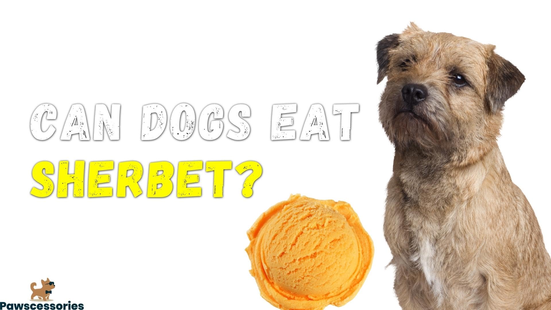 can dogs eat sherbet