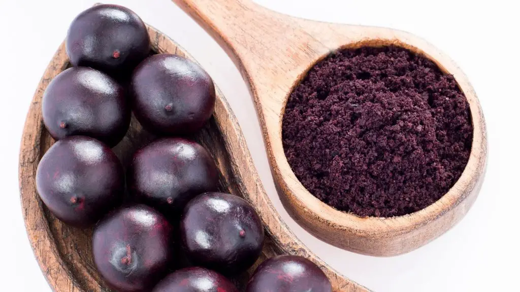 can dogs eat Acai Berry Powder