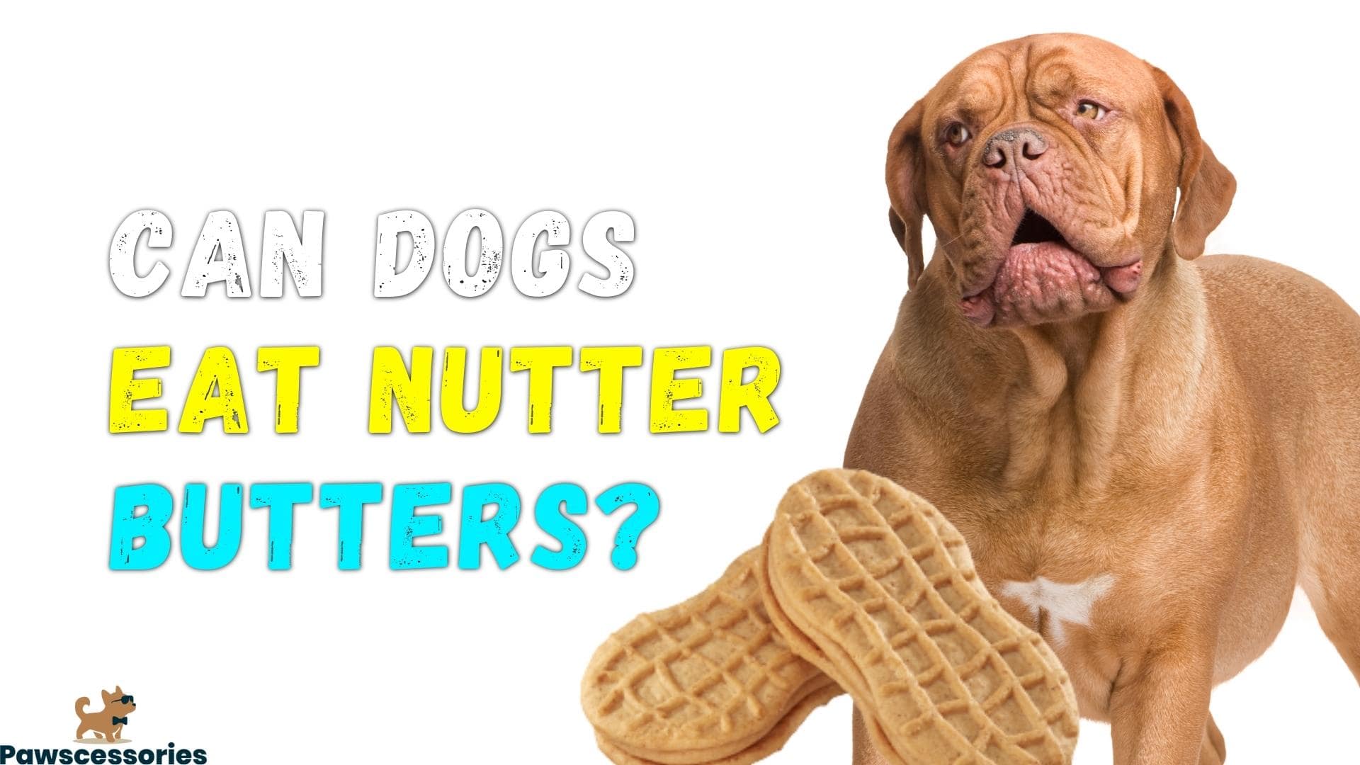 can dogs eat nutter butters