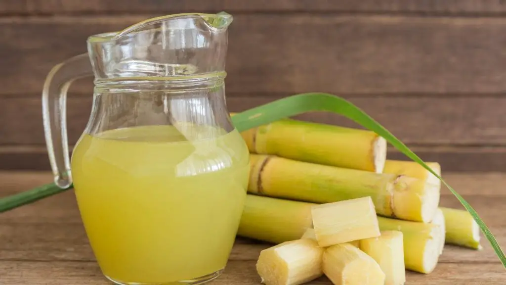 can dogs eat sugar cane juice