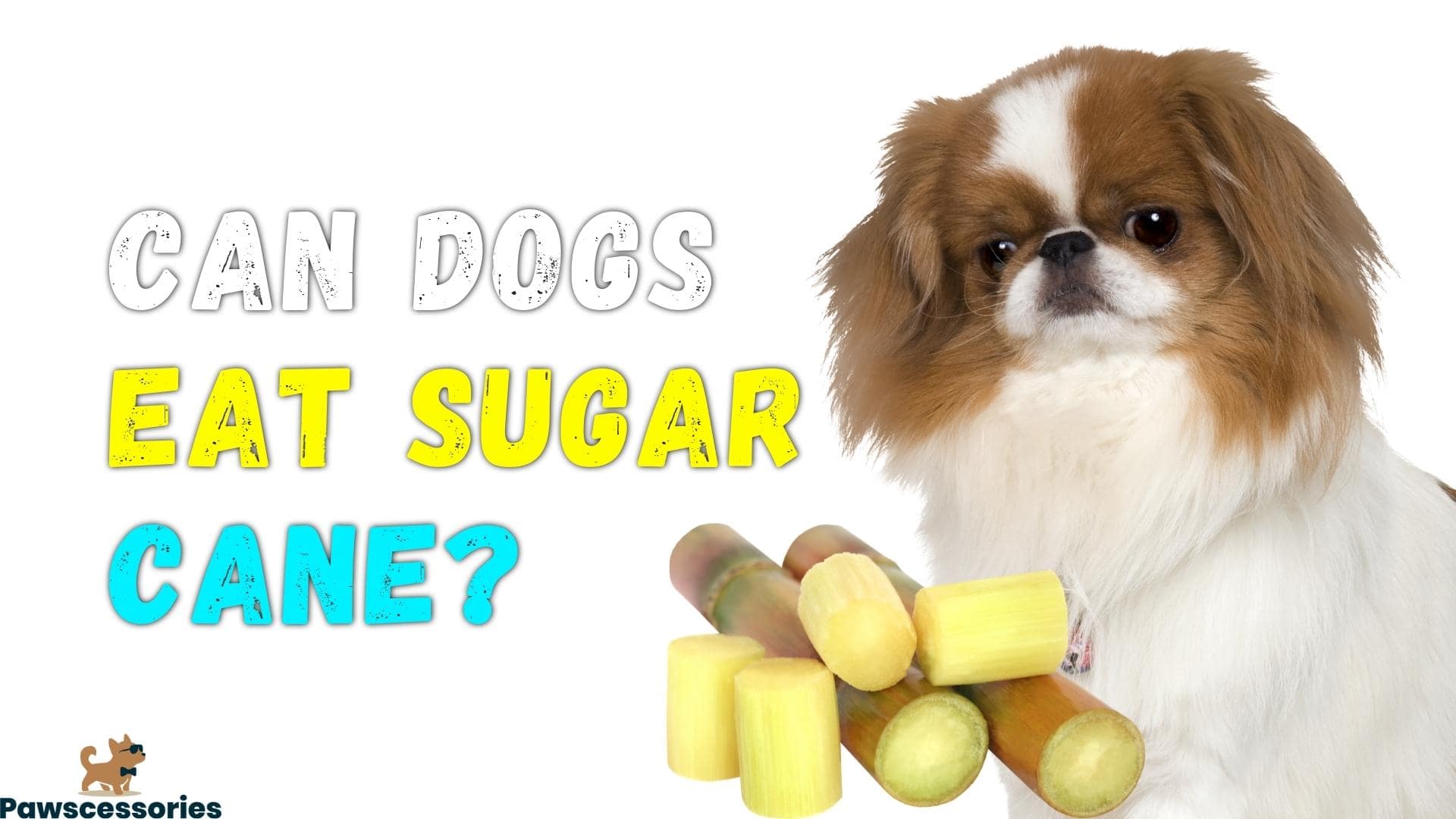 can dogs eat sugar cane