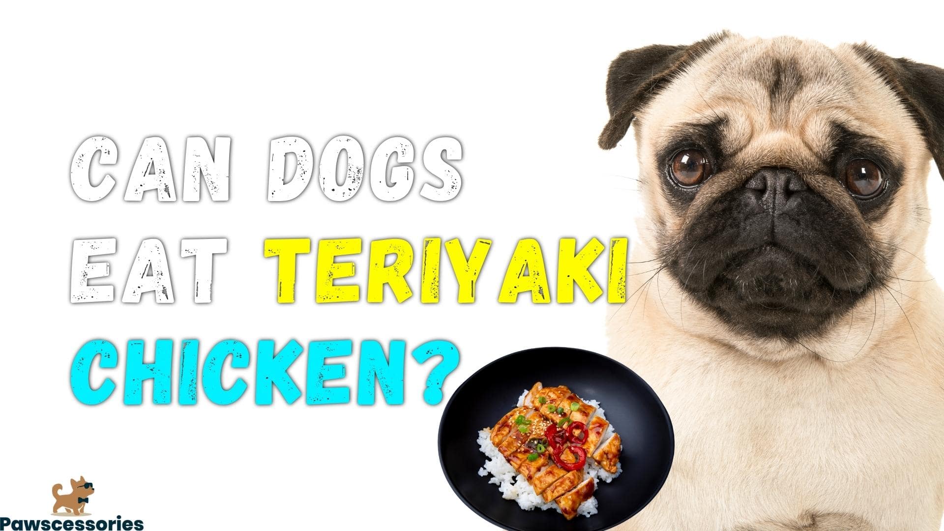 can dogs eat teriyaki chicken
