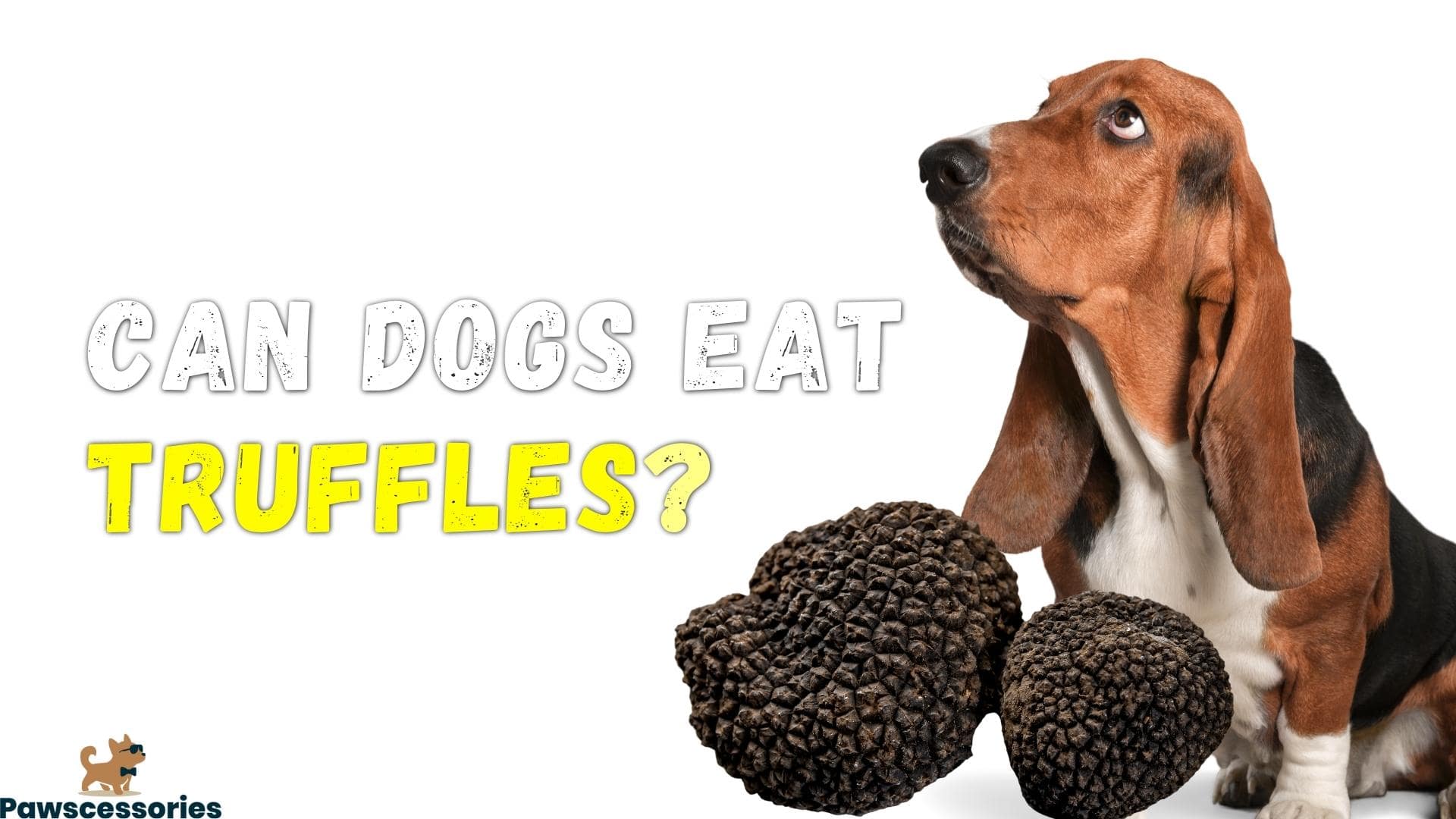 can dogs eat truffles
