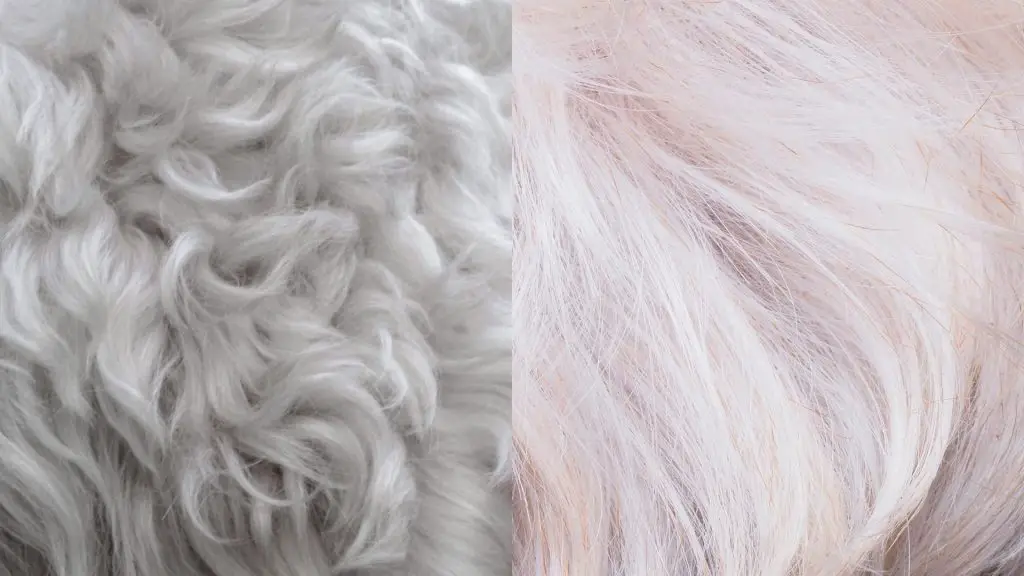 hair vs fur