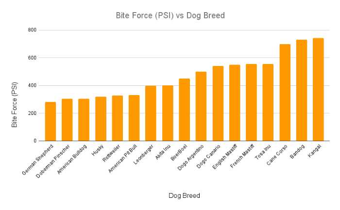 15 dogs with the strongest bite force PSI