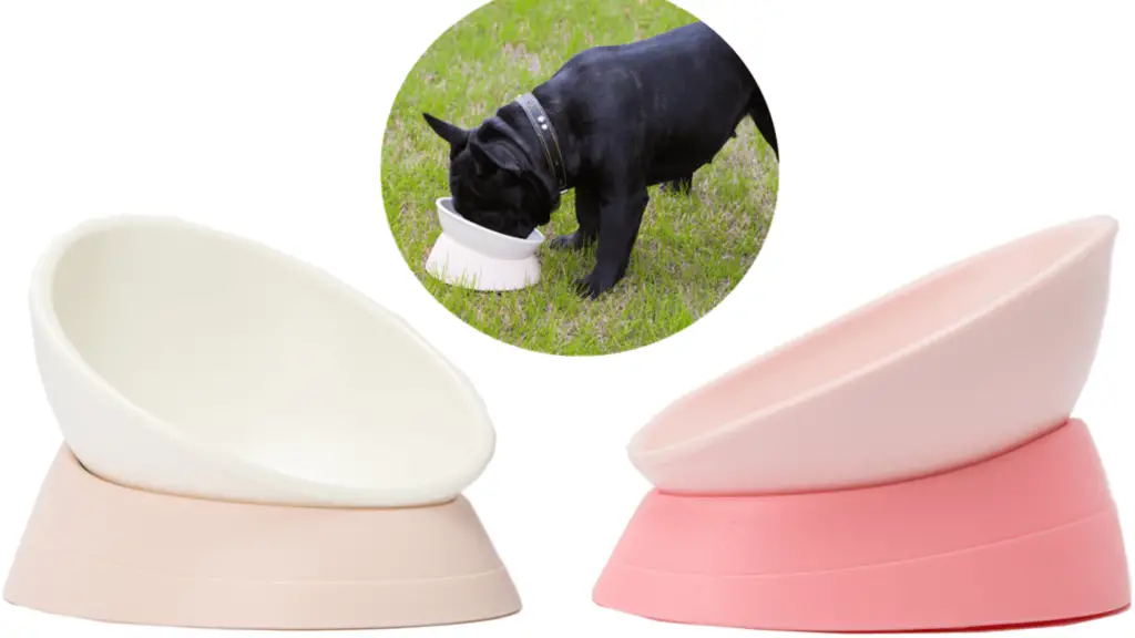 Dog Bowls For Flat-Faced Dog
