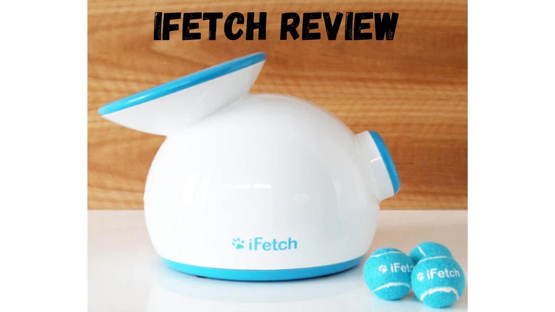 ifetch ball launcher review