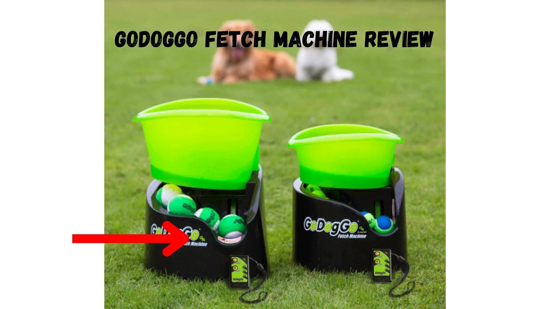 GoDogGo Fetch Machine review