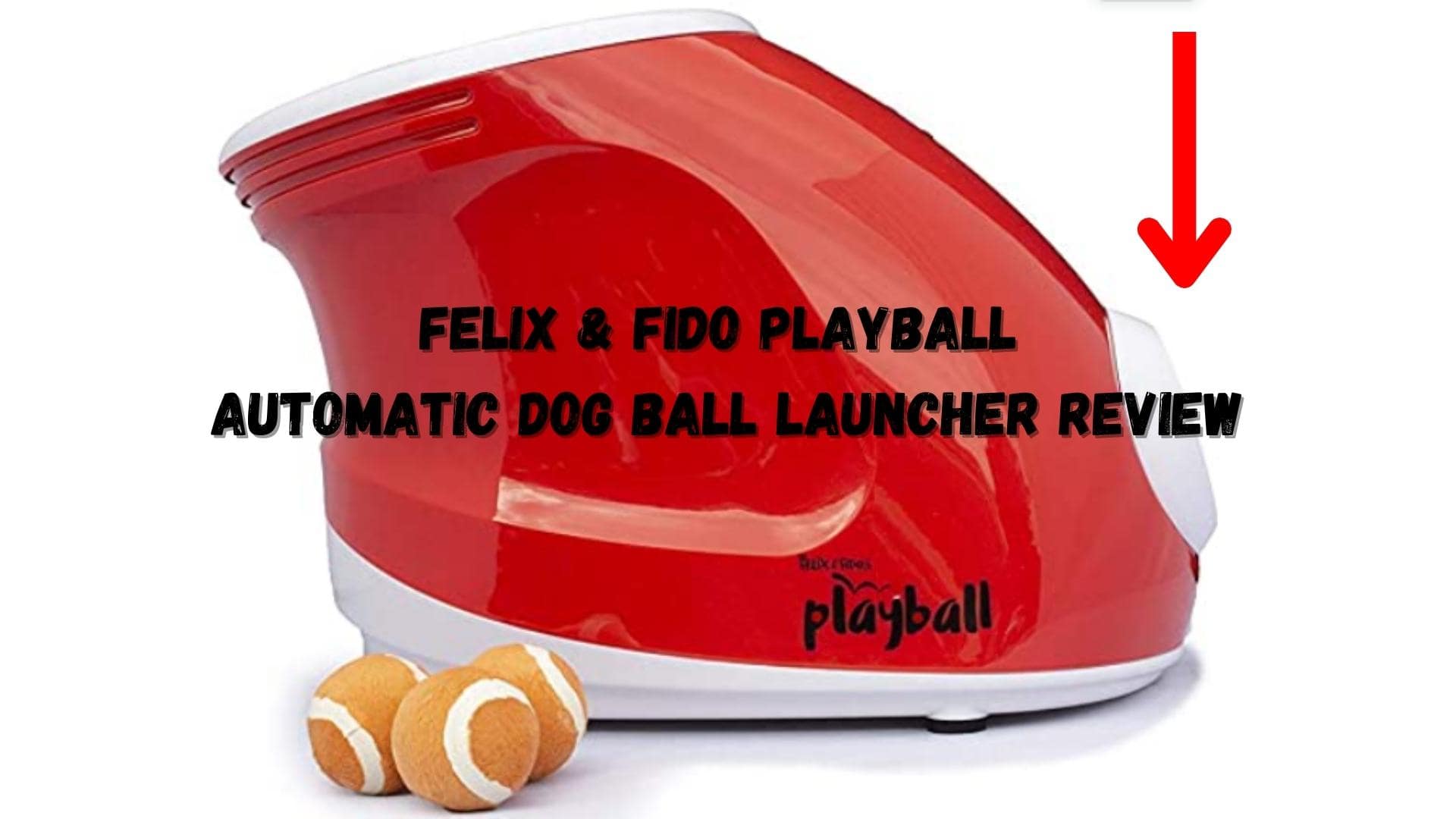 Felix & Fido Playball Automatic Dog Ball Launcher Review